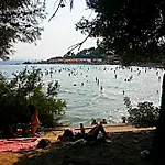 Principessa *