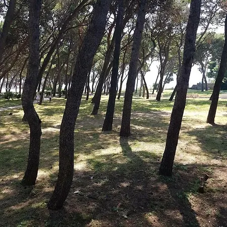 Principessa Apartmán